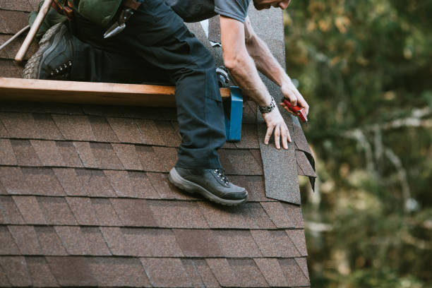 Best Roof Gutter Cleaning  in Hayfork, CA